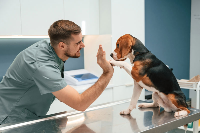 AWARE NH Low-cost Vaccine Clinic